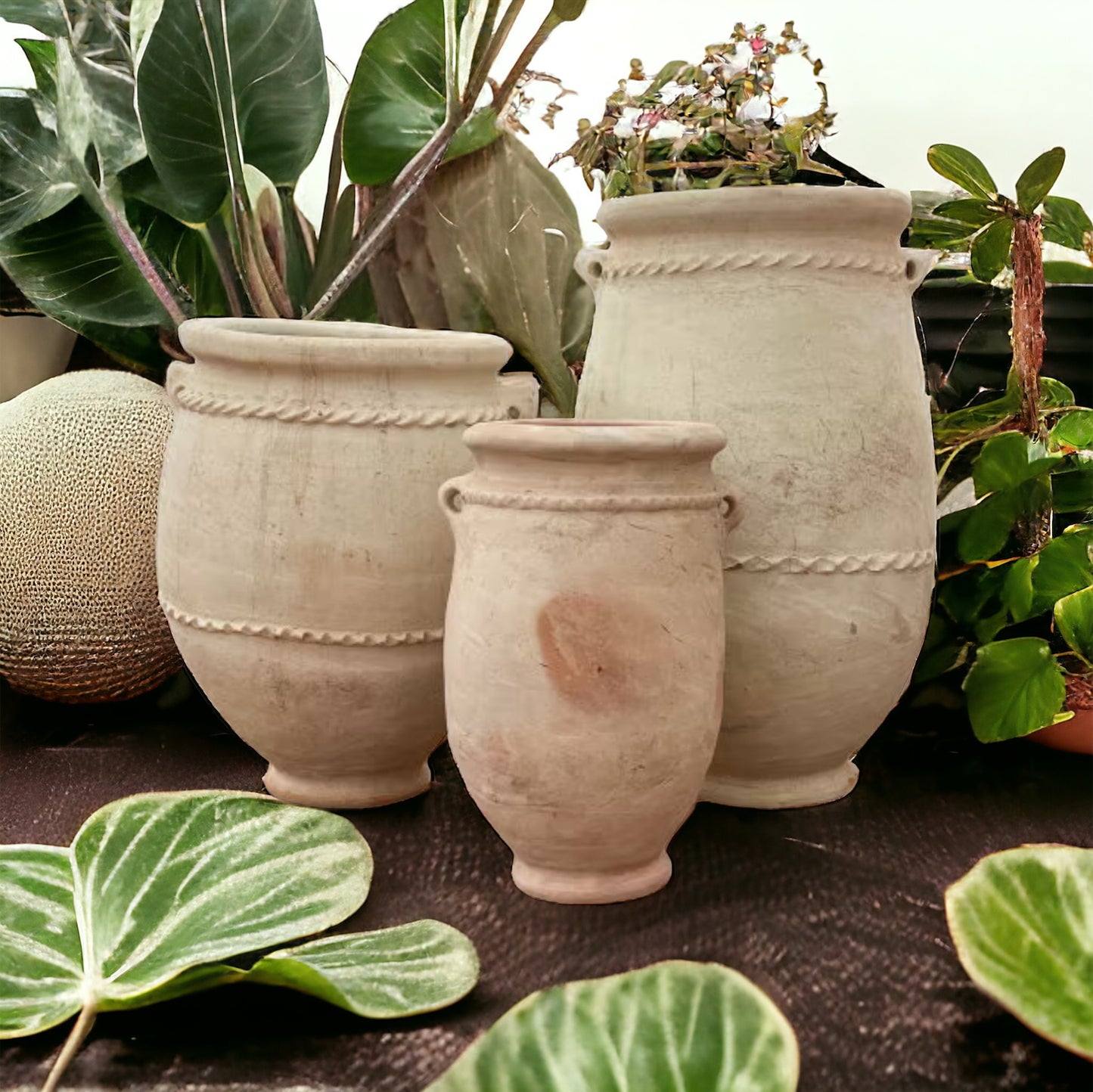 Moroccan garden terracotta pot